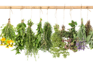 herbs for longevity
