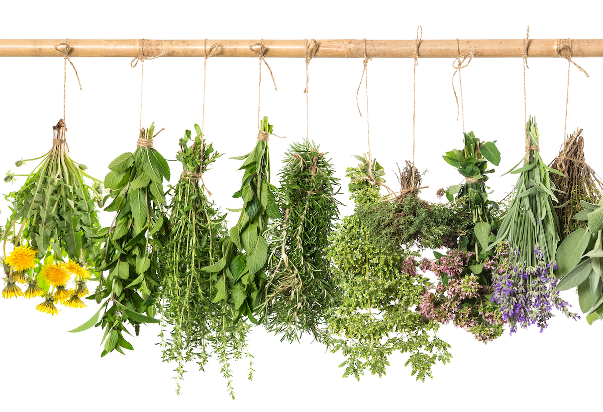 herbs for longevity